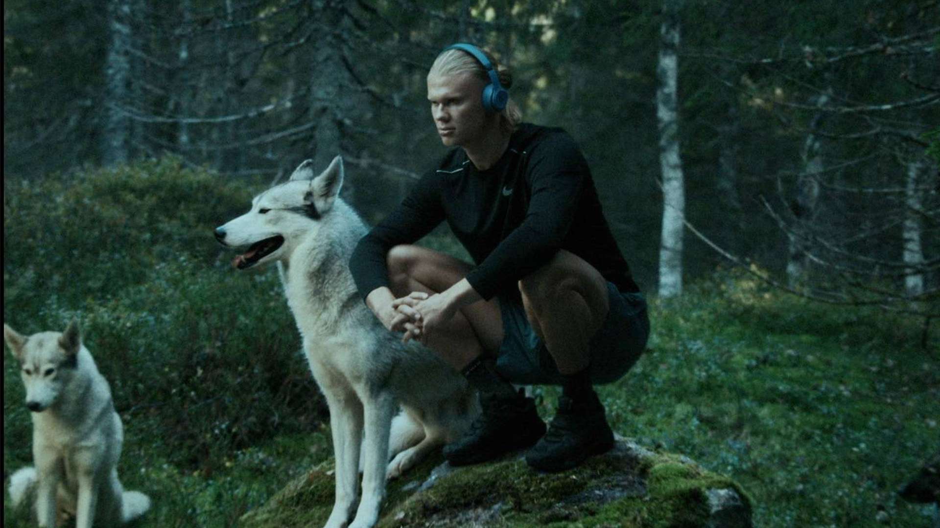 日益增大的 日益增大的